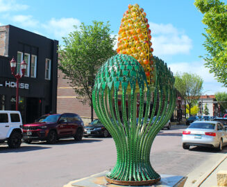 Photo: Cactus Flower