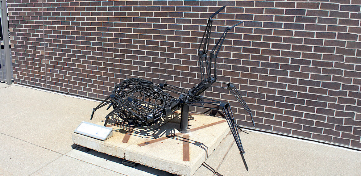 Photo: Arachnophobia