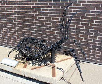 Photo: Arachnophobia