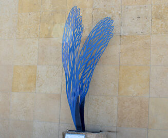 Photo: Blue Trees and Sky