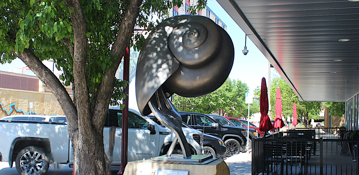 Photo: Escargot