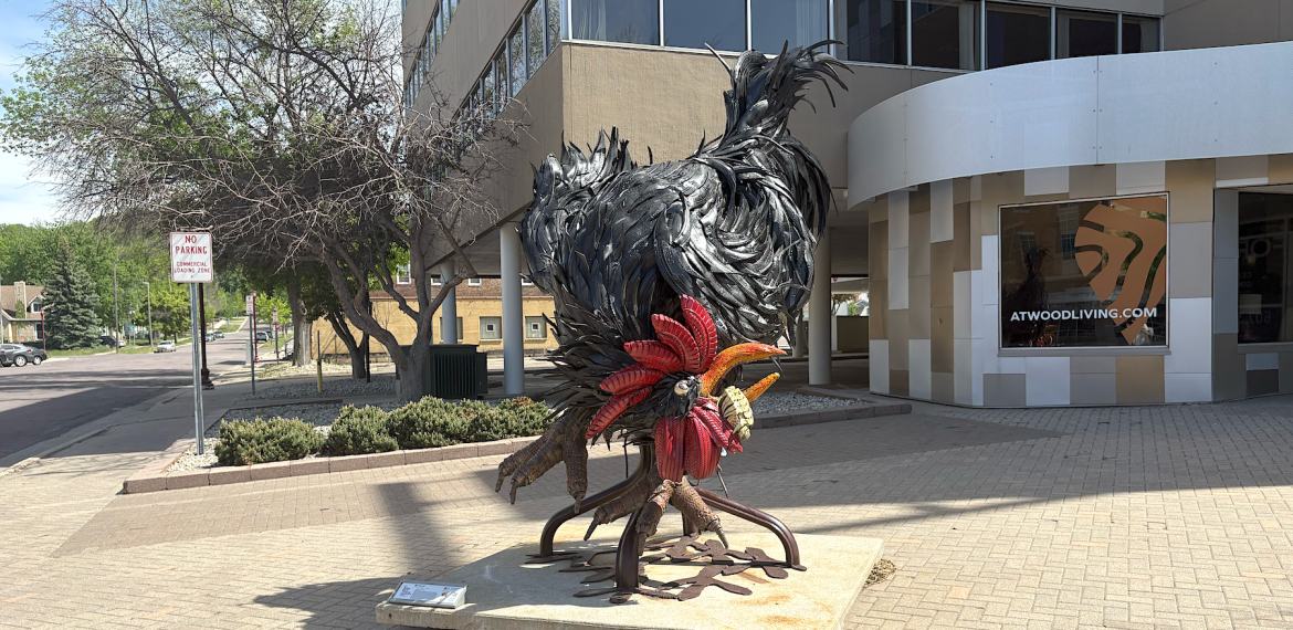 Photo: Rooster