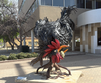 Photo: Rooster